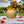 HydraMate Modern Watering Can for Houseplants