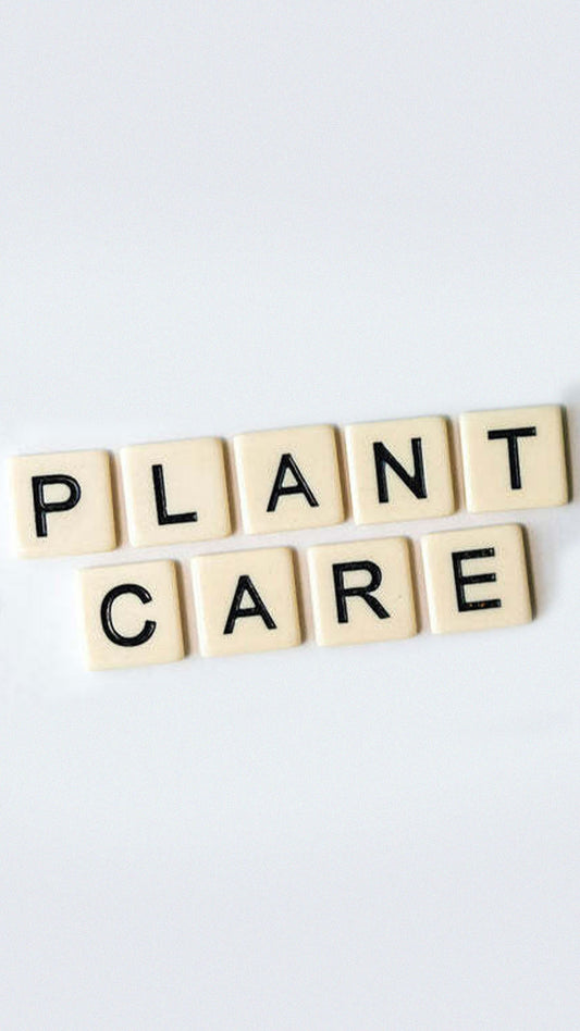 Plant care outcall
