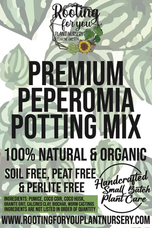 PEPEROMIA Premium Potting Mix