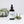 Plant Care Bundle - Neem Oil, Fertilizer, Leaf Spray