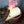 Plant Soil Scoop