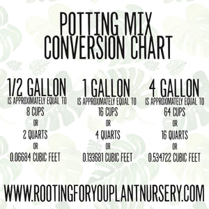Cactus and Succulent SEED STARTING Premium Potting Mix