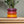 Bubble Planter/ Donut Planter with Drainage