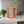 Rectangle Propagation Station