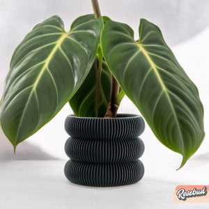 Ribbed Bubble Plant Pot With Drainage and Saucer