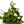 Hoya Mystery Bundle Box - 3 Hoya Plants