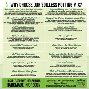 Cissus Premium Potting Mix